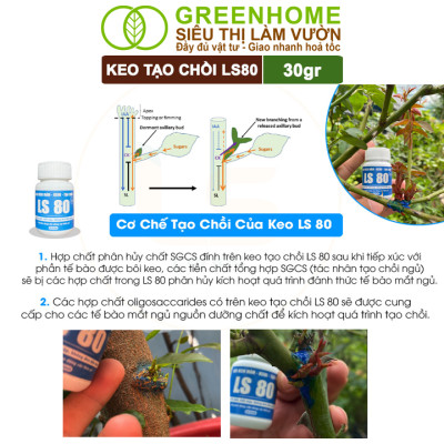 Keo Tạo Chồi LS80, Greenhome, Hũ 30gr, Tạo Mầm Tại Vị Trí Bất Kỳ, Có Chọn Lọc, Không Suy Cây, Đen Chồi