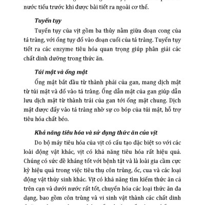 Nông Nghiệp Xanh Và Sạch - Nuôi Vịt Sạch