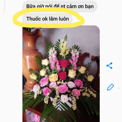 BỘT DƯỠNG HOA TƯƠI LÂU LONGLIFE SG ISRAEL DÀNH SHOP HOA BẢO QUẢN HOA CẮM LẴNG TƯƠI LÂU VÀ HẠN CHẾ THAY HOA ĐỊNH KỲ