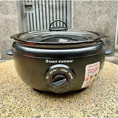 Nồi Nấu Chậm Đạt Tường DTSC-3.5S 3,5l - Hàng Chính Hãng