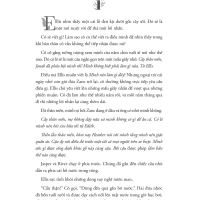 Nắng Xuyên Qua Vòm Lá