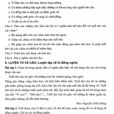 Bồi Dưỡng Tiếng Việt Lớp 5 (Dùng Cho Bộ Sách Chân Trời Sáng Tạo) - HA