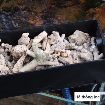 Xốp Lọc Bể Cá 90x 30cm + San Hô Vụn 1KG lọc nước, trang trí bể cá