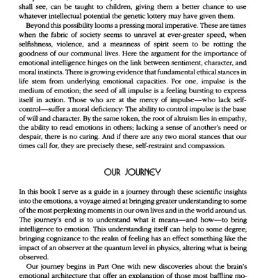 Emotional Intelligence: Why It Can Matter More Than IQ