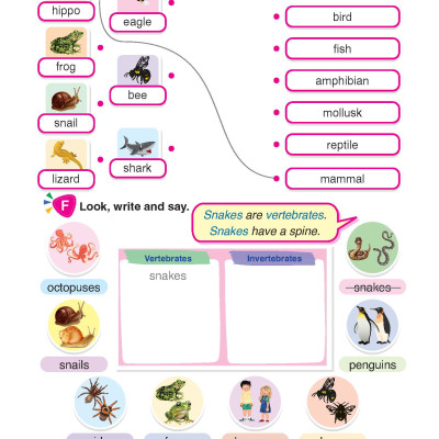 i-Learn English for Science 4 Student