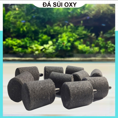 2 Mét dây sủi và 2 đá sủi oxy, quả sủi oxy dùng cho Máy sủi oxy, Máy sục khí - Tăng lượng khí oxy bể cá - Giúp cá lớn nhanh, phát triển mạnh ( Trắng - Đen)