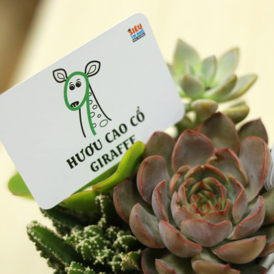 Bộ thẻ học thông minh cho bé FLASHCARD SHAPE (100 thẻ) - Nhớ dễ dàng những con số