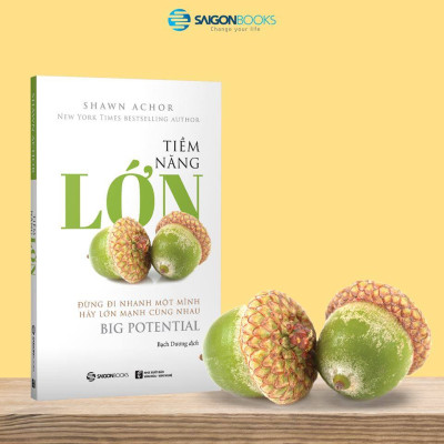 Tiềm năng lớn - Đừng đi nhanh một mình, hãy lớn mạnh cùng nhau (Big Potential) - Tác giả: Shawn Achor