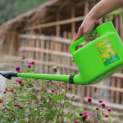 Bình tưới vòi sen tháo lắp Galo 4L