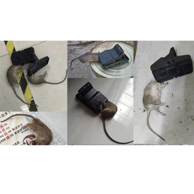 BẪY CHUỘT THÔNG MINH. kẹp chuột nhựa.