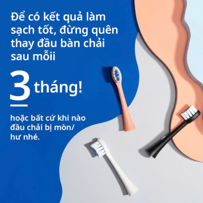 [Chính Hãng] Combo 3 Đầu Bàn Chải Điện Thay Thế Zenyum Sonic MỚI 2.0 - Công Nghệ Singapore - Xanh Mint