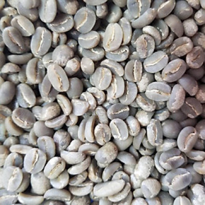 Cà phê nhân Arabica Cầu Đất O