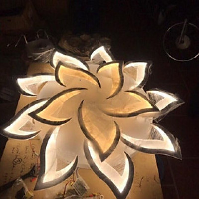 Đèn trần,đèn tô điểm phòng khách,đèn áp trần DT