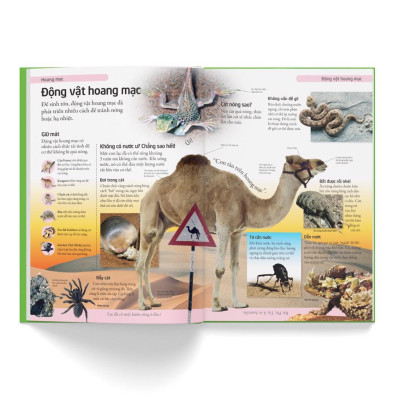 Sách - Bách khoa cho trẻ em – Bách khoa tự nhiên - Bìa cứng - Đông A