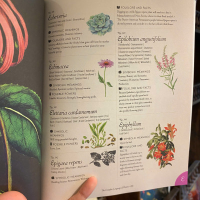 Sách - The Complete Language of Flowers: A Definitive and Illustrated History by S. Theresa Dietz
