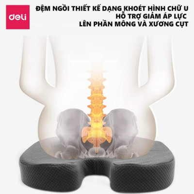 Combo Bộ gối tựa lưng và đệm lót ghế văn phòng DELI, giảm đau mỏi chống gù lưng, hỗ trợ phòng chống đau xương cụt, trĩ