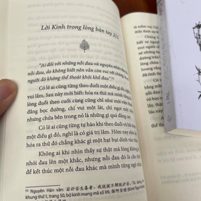 COMBO 2 TẬP CUỘC SỐNG NHÌN TỪ Ô CỬA THIỀN - Bìa mềm