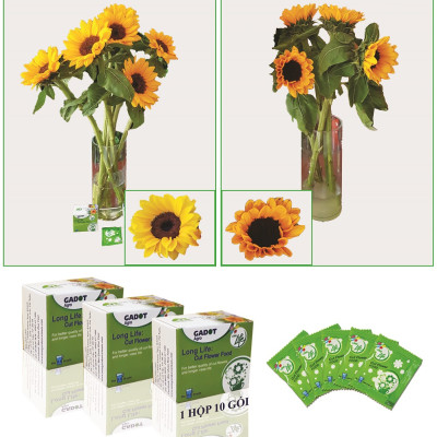 Thuốc cắm hoa Hướng Dương lâu tàn nhập khẩu Israel (Set 50 gói) giúp hoa tươi gấp 2 lần và 14 ngày không thay nước mới
