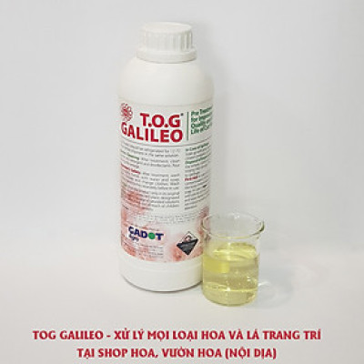 Dung Dịch Xử Lý Hoa TOG Galileo của ISRAEL (Chai 1 Lít) dùng bảo quản hoa cắt cành tươi lâu tại Nhà Vườn Trồng Hoa, Vựa Hoa và Chợ Sỉ Hoa. Tỷ lệ dung dịch 0.1% tức chai 1 Lít TOG pha được 1.000 Lít dung dịch xử lý hoa