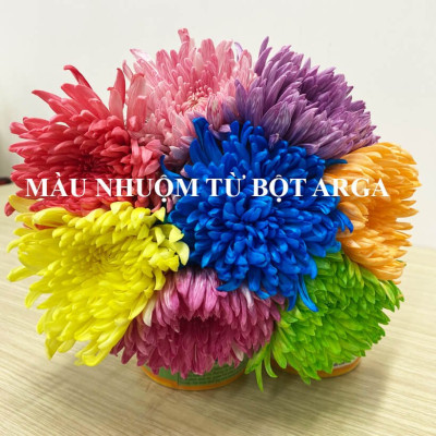 1 Thùng Bột Màu Hoa Tươi "chuyên nghiệp" nhuộm đổi màu hoa cắt cành ( Gồm 8 màu x 1 hủ 110gr)