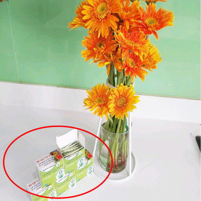Thuốc Dưỡng Hoa Tươi Cắt Cành Nhập Khẩu Israel hiệu Longlife (1 thùng 1.000 gói 5gr) phù hợp dùng làm nước cắm hoa cho mọi loại hoa tại nhà và 14 ngày không cần thay nước mới