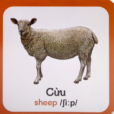 Từ Điển Bằng Hình Đầu Tiên Của Bé - Baby