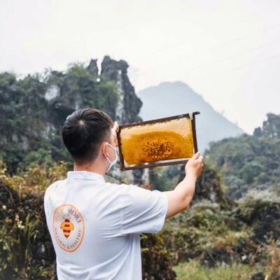 Honimore Mật ong chín Hoa Miền Núi 630g - MUA 2 TẶNG 1 CHAI CÙNG SIZE