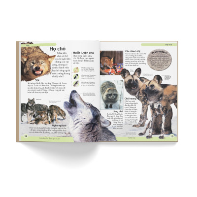 Sách - Bách Khoa Động Vật - Mở Mang Kiến Thức, Khơi Dậy Tiềm Năng (Tái Bản 2021)