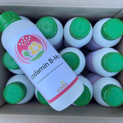 Codamin B-Mo Phân bón lá nhập khẩu trực tiếp từ Tây Ban Nha (chai 1L)