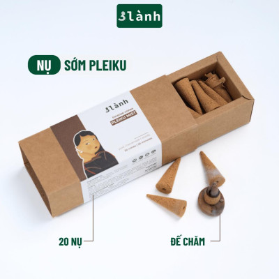 Nụ Thủ Công Sớm Pleiku 3 Lành Hộp 20 Nụ 100 % Tự Nhiên Tặng Kèm Đế Chăm, Không Hóa Chất, Xông Thơm