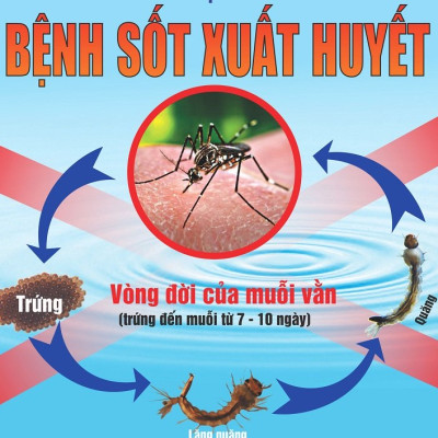 Thuốc diệt côn trùng trong nhà, diệt muỗi, không mùi dùng trong gia đình y tế Pekacon 100SC xuất xứ từ Mỹ