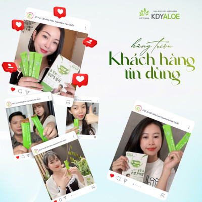 COMBO X3 THẠCH NHA ĐAM SÂM NHO XANH KDY ALOE