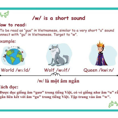 Sách Ngữ Âm Dành Cho Người Bắt Đầu (Kèm CD)