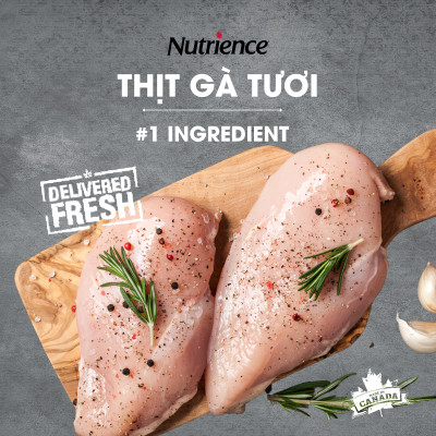 Thức Ăn Cho Chó Con Nutrience Infusion Bao 2.27kg Thịt Gà, Rau Củ Và Trái Cây Tự Nhiên