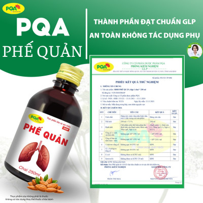 Siro Phế Quản PQA Thành Phần Từ Thiên Nhiên Giúp Bổ Phế, Ho Hộp 250ml