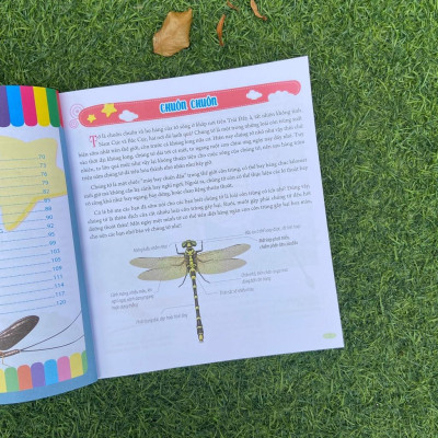 Sách: Bách Khoa Động Vật Dành Cho Trẻ Nhỏ - Côn Trùng - TSTN