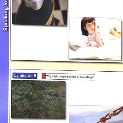 Successful 10 FCE Practice Test (Kèm CD) 