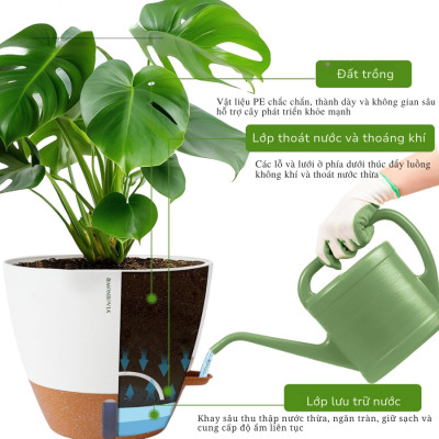 Chậu trồng cây tự tưới thông minh Monrovia A60 cho cây trong nhà và ngoài trời, decor, văn phòng